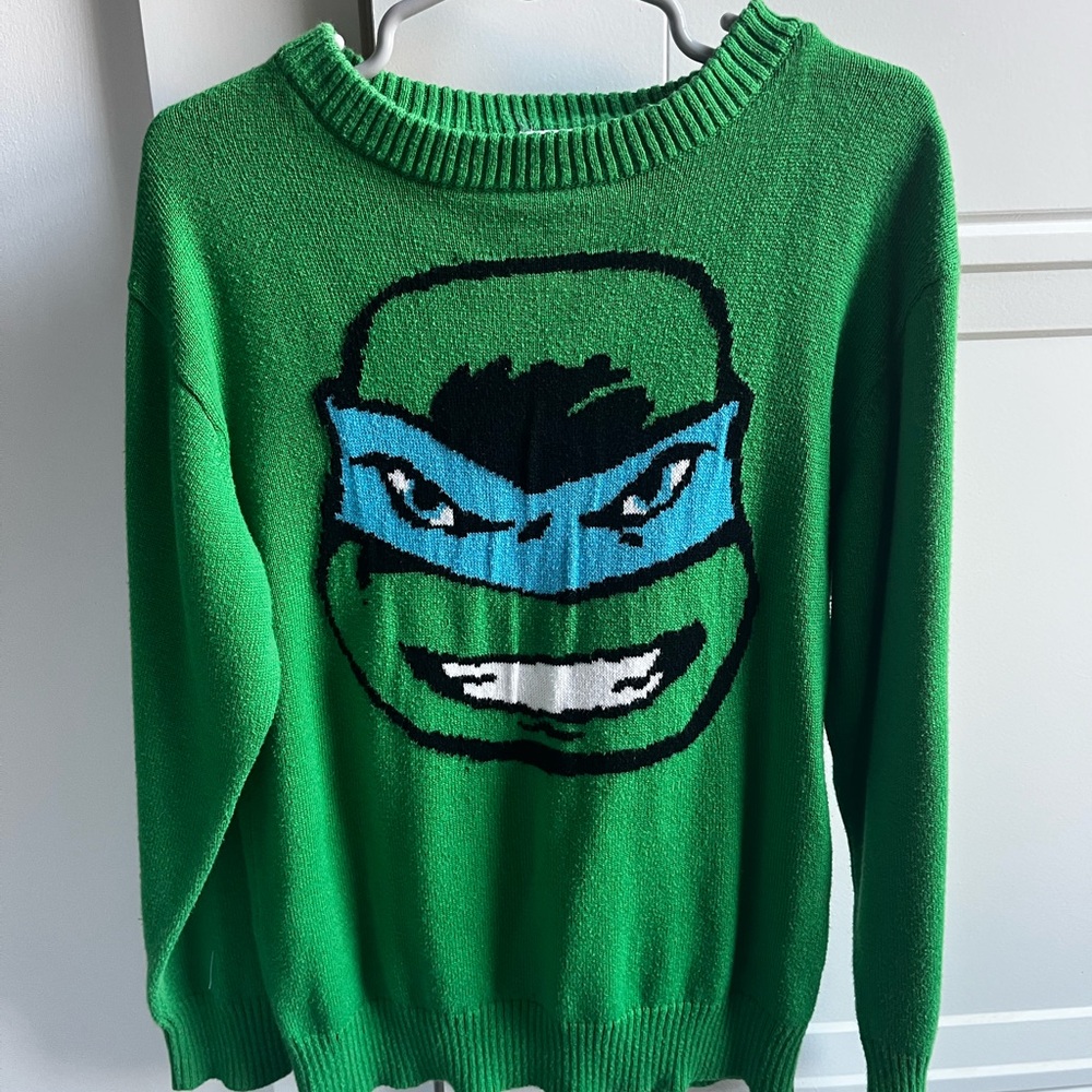 Kids Green Graphic Turtle Sweater with Blue Mask